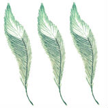 3-feathers