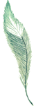 feather