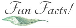 Fun Facts