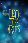 Leo Tops Aries